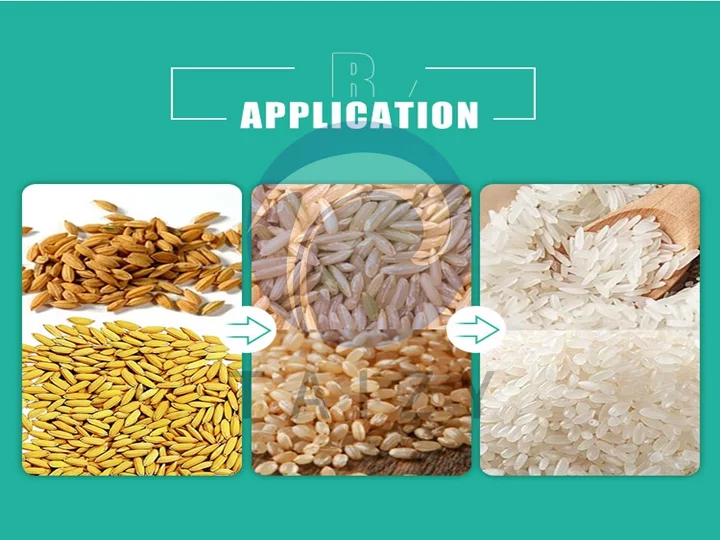 Aplicación de la planta fresadora de arroz completa 30TPD