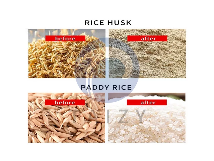 matières premières de la ligne de production de fraiseuse à riz 25TPD