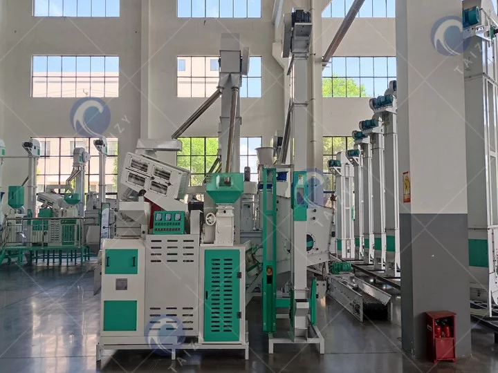 30-ton rice processing plant
