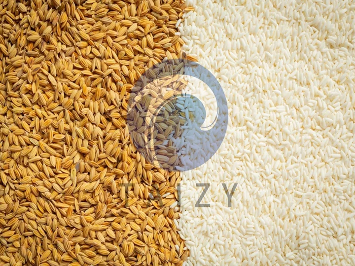 40 Ton Paddy Dehusker For Sale In Turkey 6 การสีข้าว